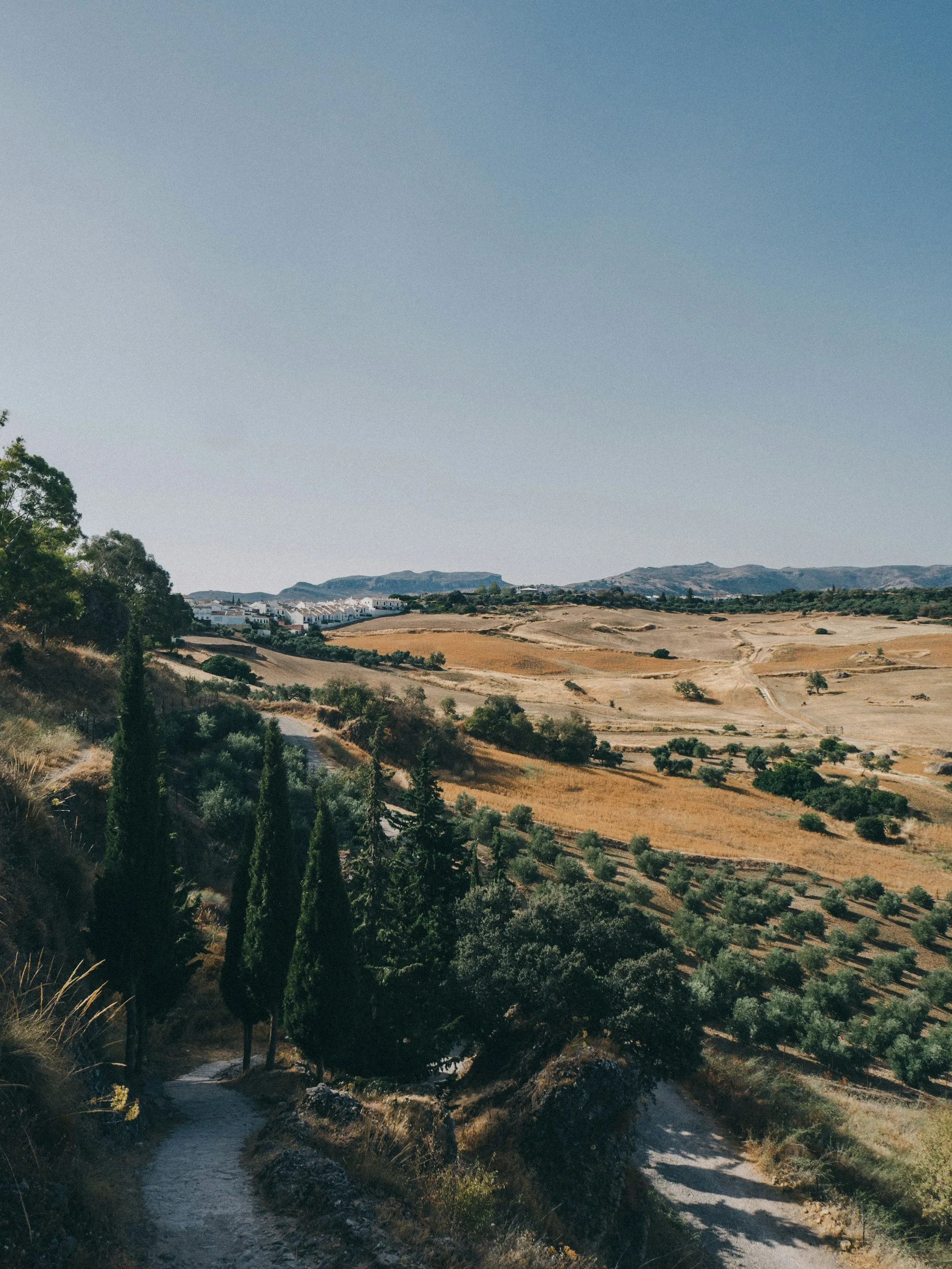 Pfad durch die trockene Kulturlandschaft bei Ronda in Andalusien